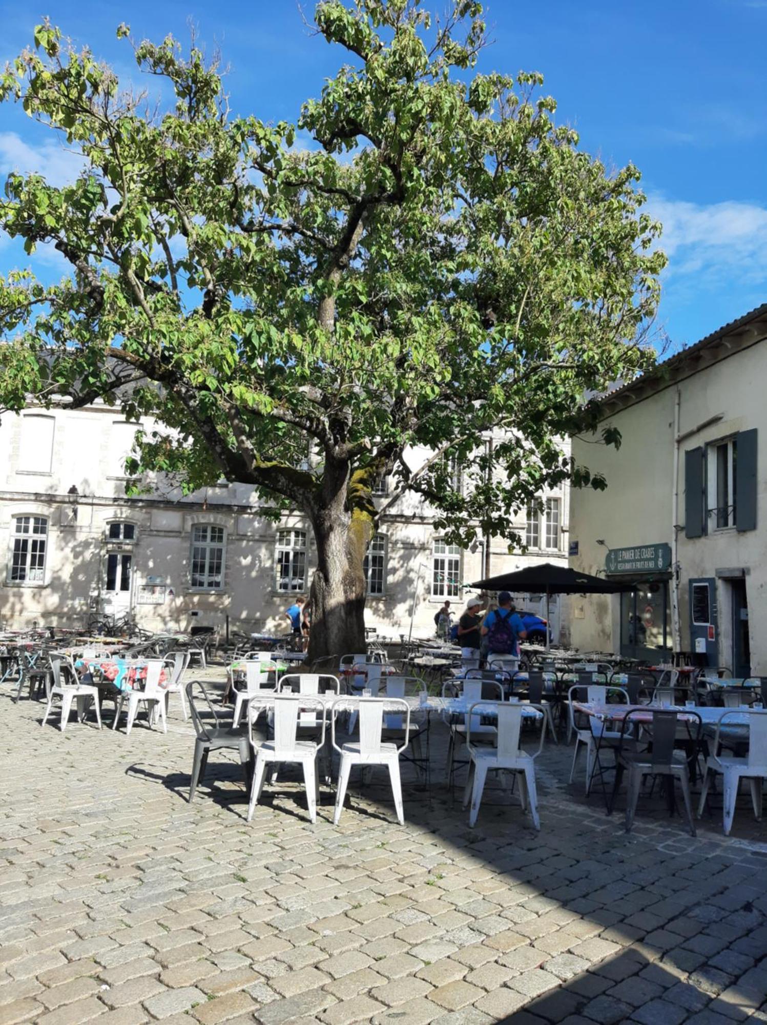 Apartament Comtesse La Rochelle  Zewnętrze zdjęcie